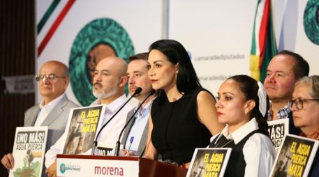 La diputada planteó la necesidad de conformar una mesa técnica interinstitucional que permita identificar las causas de la contaminación y el desabasto. CORTESÍA.