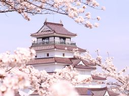 Temporada de cerezos en Japón: qué saber sobre la floración del sakura. CORTESÍA/ Organización Nacional de Turismo de Japón