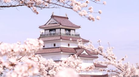 Temporada de cerezos en Japón: qué saber sobre la floración del sakura. CORTESÍA/ Organización Nacional de Turismo de Japón