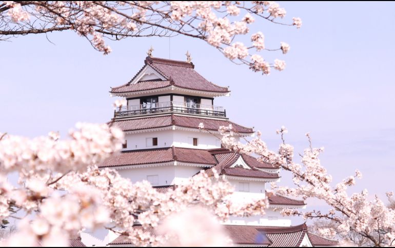 Temporada de cerezos en Japón: qué saber sobre la floración del sakura. CORTESÍA/ Organización Nacional de Turismo de Japón