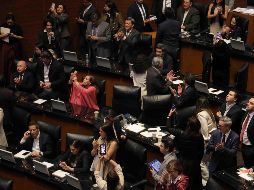 En lo general, la reforma contó con 87 votos a favor y 41 en contra. SUN/G. Pano