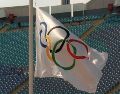 La nueva política ha sido desarrollada por un grupo de trabajo creado por el COI para responder a las crecientes polémicas relacionadas con el deporte femenino. AFP / ARCHIVO