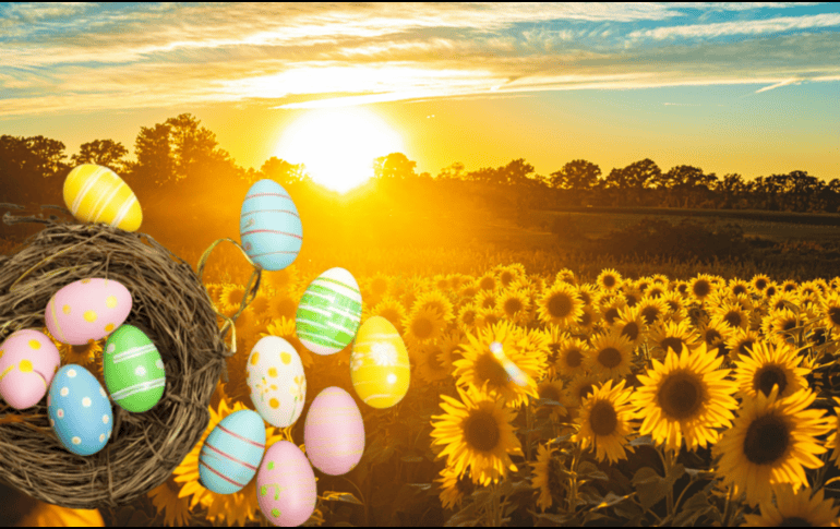 La experiencia en el Rancho San Juan Diego se divide en boletos para adultos y niños. ESPECIAL/ Unsplash