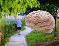Para lograr beneficios positivos en la salud de nuestro cerebro, debemos caminar unos 30 minutos por día, tres veces cada semana. ESPECIAL / CANVA