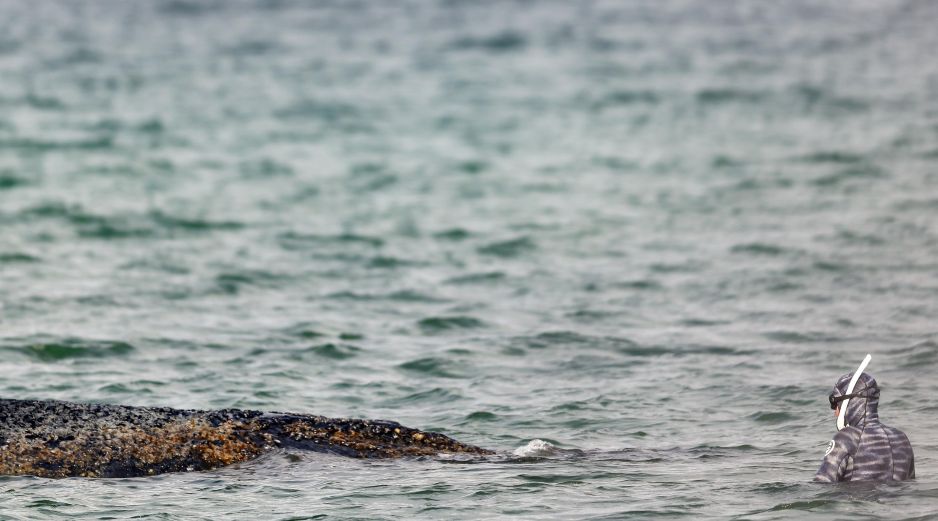 Expertos del ITAW están implicados con las autoridades en las operaciones de rescate. EFE/S. Sudheimer