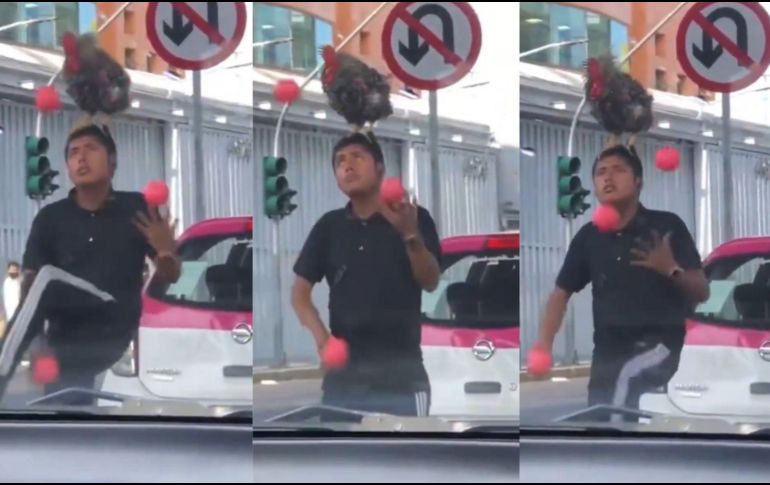 La escena de un joven haciendo malabares con un gallo sobre su cabeza se volvió tendencia. CAPTURA DE PANTALLA/X/@MarthaIBerraA/ESPECIAL