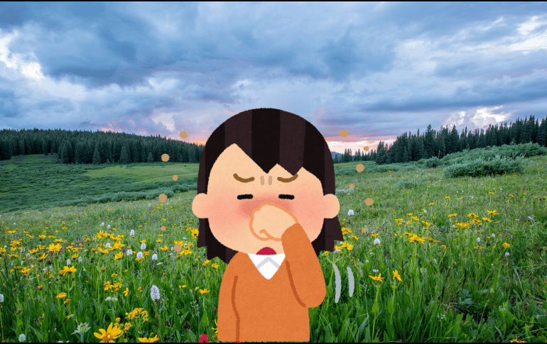 El principal lugar donde se presentan los síntomas de las aalergias estacionales es en la membrana que recubre internamente la nariz. UNSPLASH / J. HOLLAND