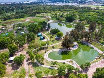 Si buscas un lugar amplio donde los niños y tus mascotas puedan correr libremente hasta cansarse, el Parque Metropolitano es indiscutiblemente la mejor opción. EL INFORMADOR / ARCHIVO