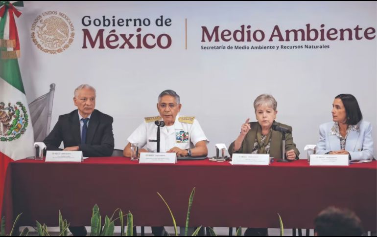 El grupo integrado por Pemex, Semar, Semarnat, Sener, ASEA y Profepa, así como autoridades estatales y municipales, detalló que hasta el día de hoy se han recolectado más de 700 toneladas de contaminante. SUN/ F. ROJAS.