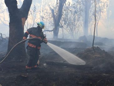 El siniestro afectó alrededor de tres hectáreas dentro de un Área Natural Protegida. CORTESÍA/PROTECCIÓN CIVIL Y BOMBEROS DE ZAPOPAN  