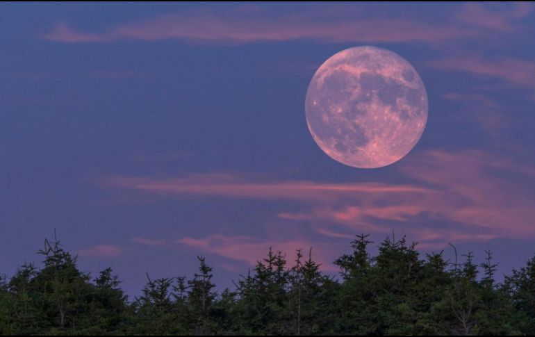 Observar la Luna Rosa permite conectar con los ciclos naturales y el cambio de estación. PEXELS