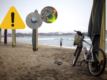 Este animal puede "aguar" tus vacaciones de Semana Santa en Colima: ¡Toma precauciones! AP / ARCHIVO