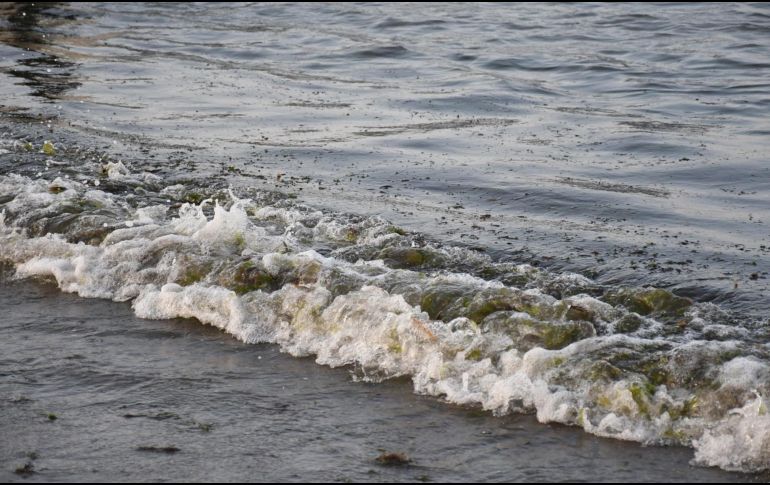 Semarnat reporta 825 toneladas de hidrocarburo recolectadas en mar y 630 km de litoral atendidos. EFE/Miguel Victória
