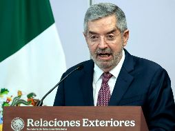 Juan Ramón de la Fuente, secretario de Relaciones Exteriores. EFE / ARCHIVO