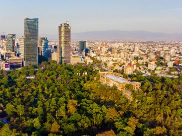 El clima en la Ciudad de México para estos días de asueto se convirtió en una importante tendencia de búsqueda. PEXELS