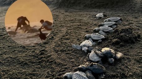 En un video se capta a al menos tres jóvenes con costales blancos cavando hoyos en la arena. ESPECIAL/ X@rioaxaca