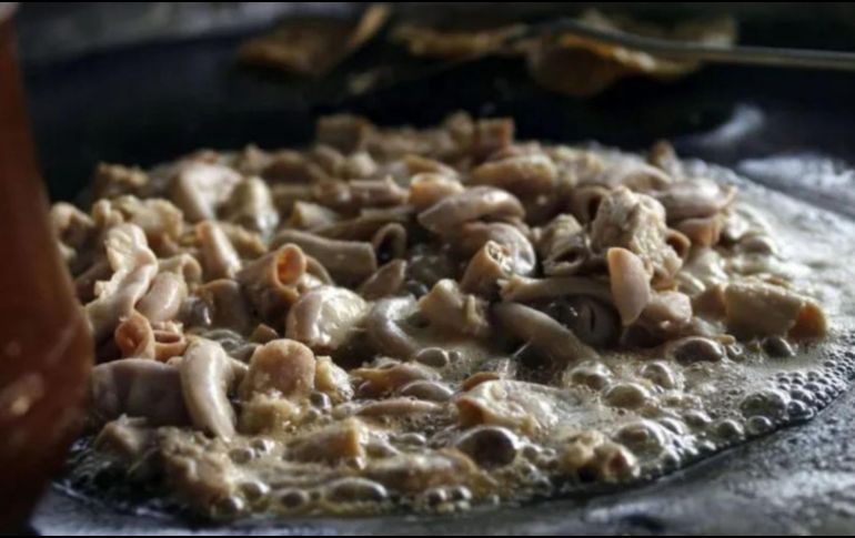 La tripa, que consiste en la víscera de res cuidadosamente limpiada y cocinada, se sirve habitualmente acompañada de cebolla, cilantro y diversas salsas, conformando un alimento que ha formado parte de la dieta popular durante siglos. EL INFORMADOR