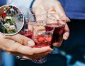 La aplicación de la Ley Seca en Semana Santa se convirtió en una importante tendencia de búsqueda en México. PEXELS/EFE