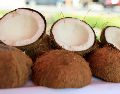 El coco es un excelente hidratante para la piel. PEXELS