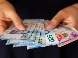 Los ingresos convertidos a pesos fueron de 76 mil 955 millones y significó un desplome de 18.8% con respecto a un año atrás, al descontar la inflación. FREEPIK
