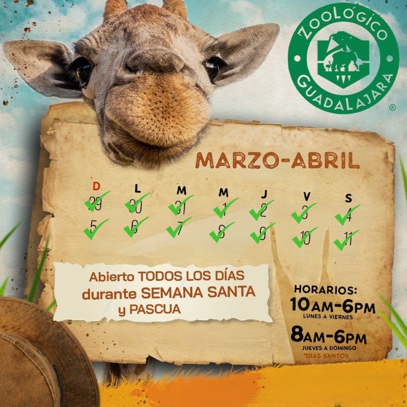 CORTESÍA/  Zoológico Guadalajara&nbsp;