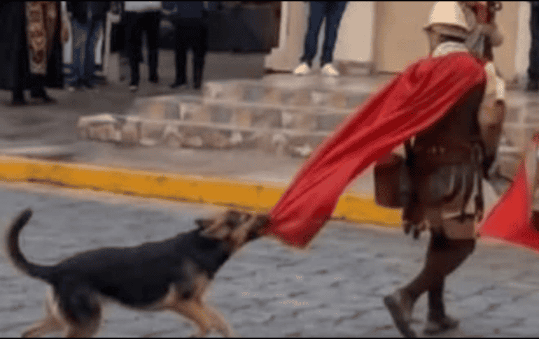 El resurgimiento de este video ha provocado una ola de reacciones en redes sociales, donde miles de usuarios han destacado la lealtad y valentía del perrito, convirtiéndolo en un símbolo espontáneo de empatía. ESPECIAL