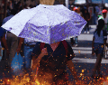 Las temperaturas más alarmantes, que oscilarán peligrosamente entre los 40 y 45 grados Celsius, se registrarán en zonas de Sinaloa, Nayarit, Jalisco, Michoacán, Guerrero, Oaxaca y Morelos. EL INFORMADOR / ARCHIVO