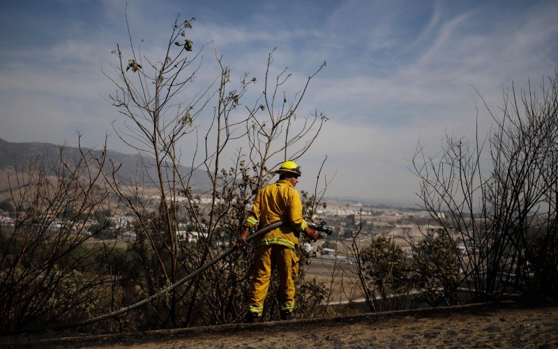 En lo que va de 2026, se han registrado 12 incendios forestales en el Bosque La Primavera, con afectaciones en alrededor de 83 hectáreas. EL INFORMADOR/Archivo&nbsp;