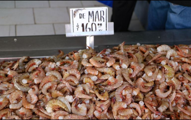 El nodavirus se presentaba en animales marinos, ahora ha pasado a los humanosEL INFORMADOR / ARCHIVO