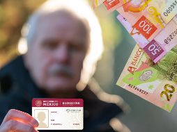 Aunque el INAPAM no da aguinaldo a sus beneficiarios, las personas adultas mayores que son contratadas de manera formal a través del programa de Vinculación Productiva sí pueden recibir este ingreso adicional a fin de año. ESPECIAL / CANVA