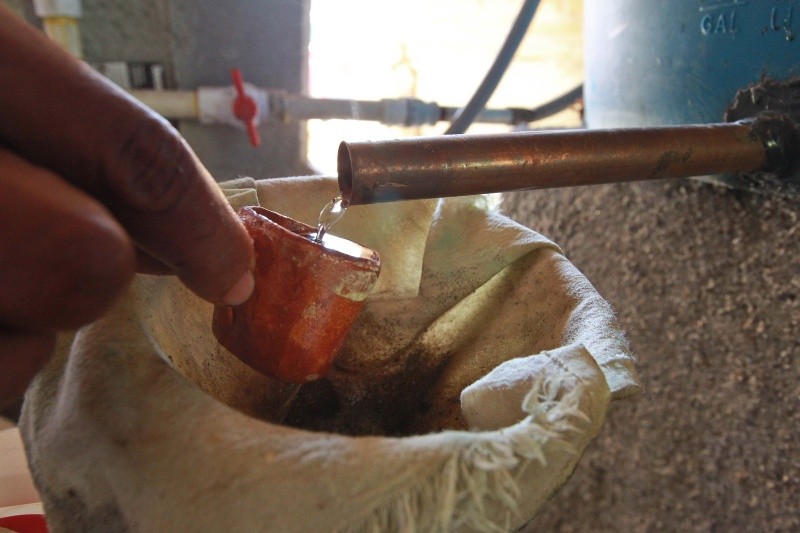 EL INFORMADOR / ARCHIVO&nbsp;