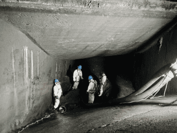 EI SIAPA hace un llamado de corresponsabilidad a la ciudadanía para no tirar basura en las calles y para disponer de manera responsable los residuos. ESPECIAL/Siapa Gdl