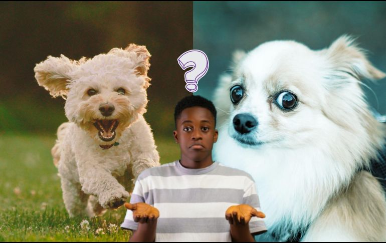 La clave de este tipo de evaluaciones radica en la espontaneidad; no debes analizar los detalles de la ilustración. UNSPLASH / M. Tresemer / J. Caione / Nachristos