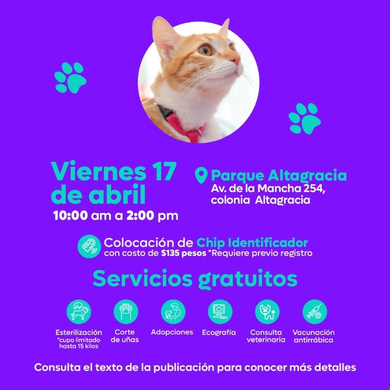  CORTESÍA/ Protección Animal Zapopan &nbsp;