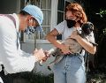 Bienestar Animal es la dependencia municipal enfocada en garantizar el trato digno, la salud y la protección de los animales, promoviendo la tenencia responsable, la adopción y la convivencia armónica. EL INFOMADOR/ARCHIVO