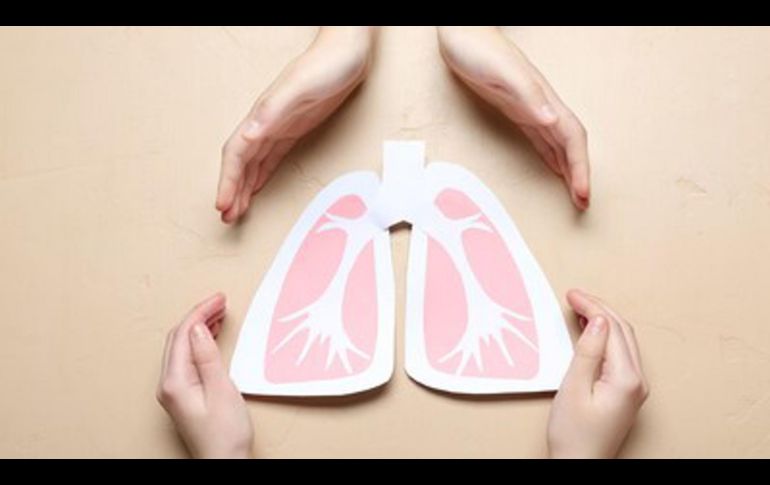 La Organización Mundial de la Salud ha advertido que los virus respiratorios mantienen una circulación activa y continua. EFE/Laboratorios Silanes