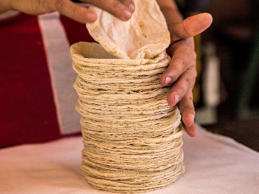 La tortilla, que forma parte de la dieta del 83.5% de los hogares en México, sigue siendo un pilar insustituible de nuestra cultura, nuestra identidad y nuestro bienestar físico. EL INFORMADOR / ARCHIVO