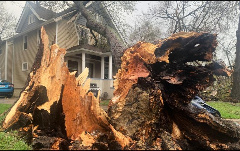 Un árbol arrancado de raíz se apoya en una vivienda tras una fuerte tormenta en Ann Arbor, Michigan. AP/M. Householder