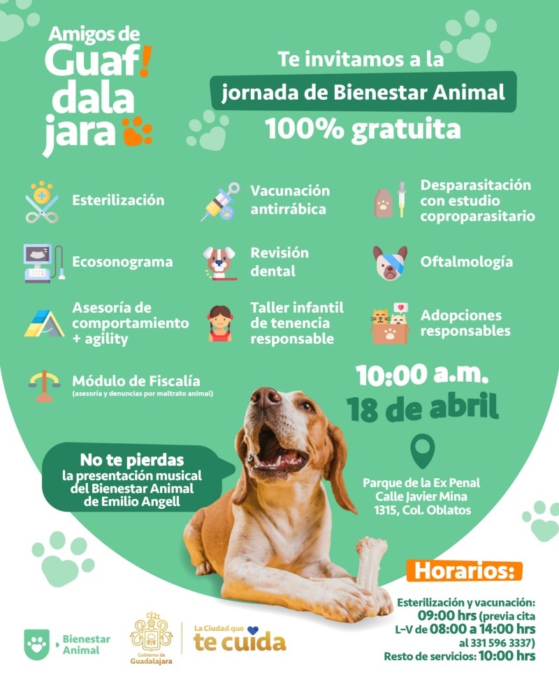 Para acceder al procedimiento quirúrgico sin costo, las autoridades municipales han establecido lineamientos que los dueños deben cumplir. ESPECIAL&nbsp;