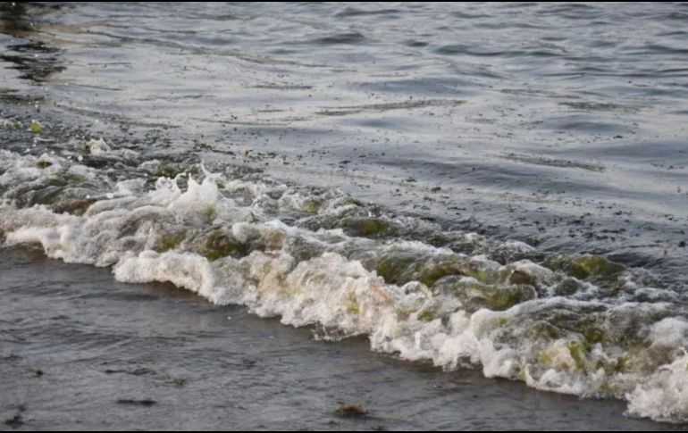 El derrame reportado desde febrero de 2026 en el Golfo de México fue provocado por una fuga en un ducto del complejo Cantarell. EFE/ ARCHIVO.