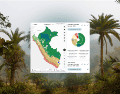 La región alberga más del 10% de las especies conocidas del planeta. CANVA/MAPBIOMASPERU/ESPECIAL