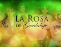 La Rosa de Guadalupe ya tiene su episodio sobre la polémica situación de los conciertos de BTS en México. ESPECIAL / AP / ARCHIVO