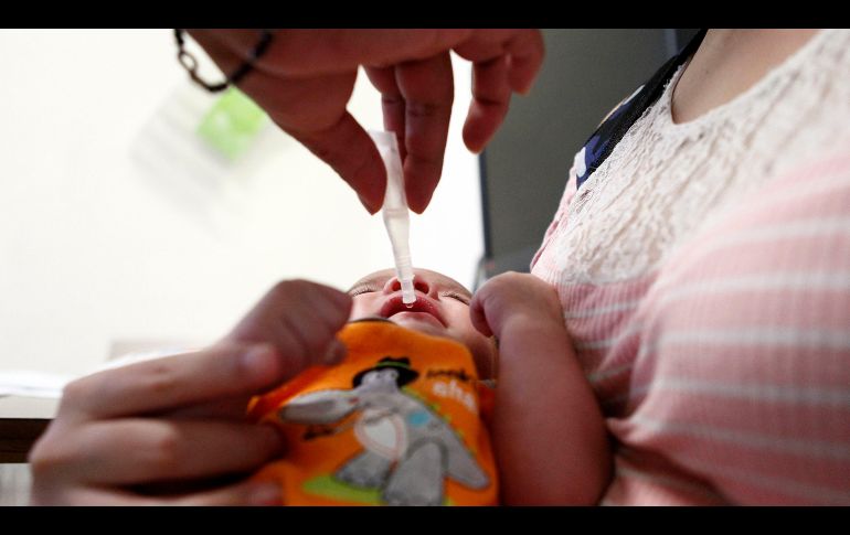 Salud Jalisco invitó a la población a revisar las cartillas de vacunación y completar los esquemas pendientes. EL INFORMADOR/ARCHIVO