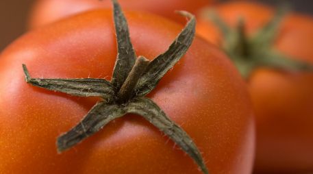 El jitomate alcanzó precios de hasta 98 pesos el kilo en algunas regiones de México. ESPECIAL/PEXELS