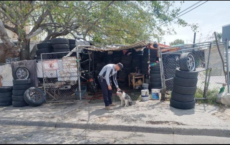Los hechos ocurrieron el pasado 14 de abril, cuando el animal fue arrebatado en la vía pública a dos menores de edad en la colonia Colinas de San Miguel. CORTESÍA/ Fiscalía de Jalisco.