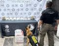 Los hechos fueron notificados al Ministerio Público correspondiente, en espera de que se reúnan los indicios necesarios para dar con la persona o las personas responsables. CORTESÍA