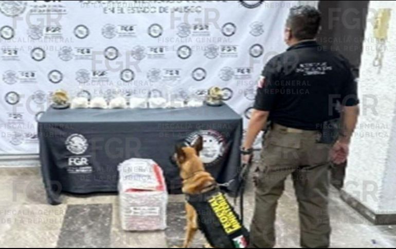 Los hechos fueron notificados al Ministerio Público correspondiente, en espera de que se reúnan los indicios necesarios para dar con la persona o las personas responsables. CORTESÍA