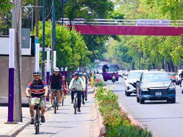 La nueva ciclovía “La Gran Tenochtitlán” busca transformar la movilidad sobre Calzada de Tlalpan. X/@ClaraBrugadaM