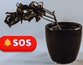 Para que la planta concentre su energía en recuperarse, elimina hojas secas o podridas, tallos muertos y ramas débiles. ESPECIAL / CANVA