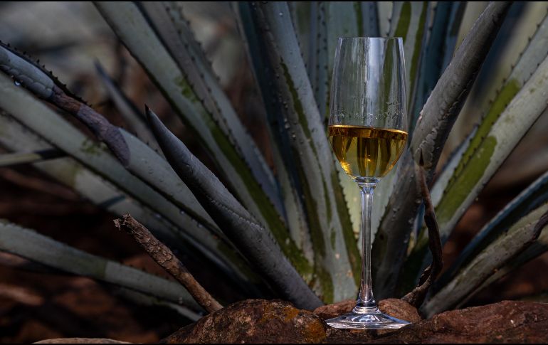 El Congreso de la Unión aprobó que el 24 de julio sea reconocido oficialmente como el Día Nacional del Tequila en México. CORTESÍA